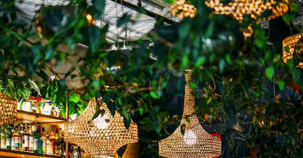 Plants and chandeliers decorate the bar of Hey Love in Portland, Oregon.