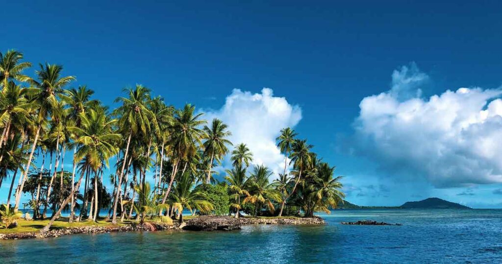 Coconut trees on Chuuk Lagoon, Weno, Federated States of Micronesia, where Yapese is spoken